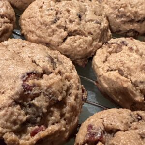 Chocolate Oatmeal Raisin Sourdough Cookies - Comfort, Warmth, Contentment