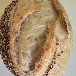 Everything but the Bagel - Balance, Presence, Grounding